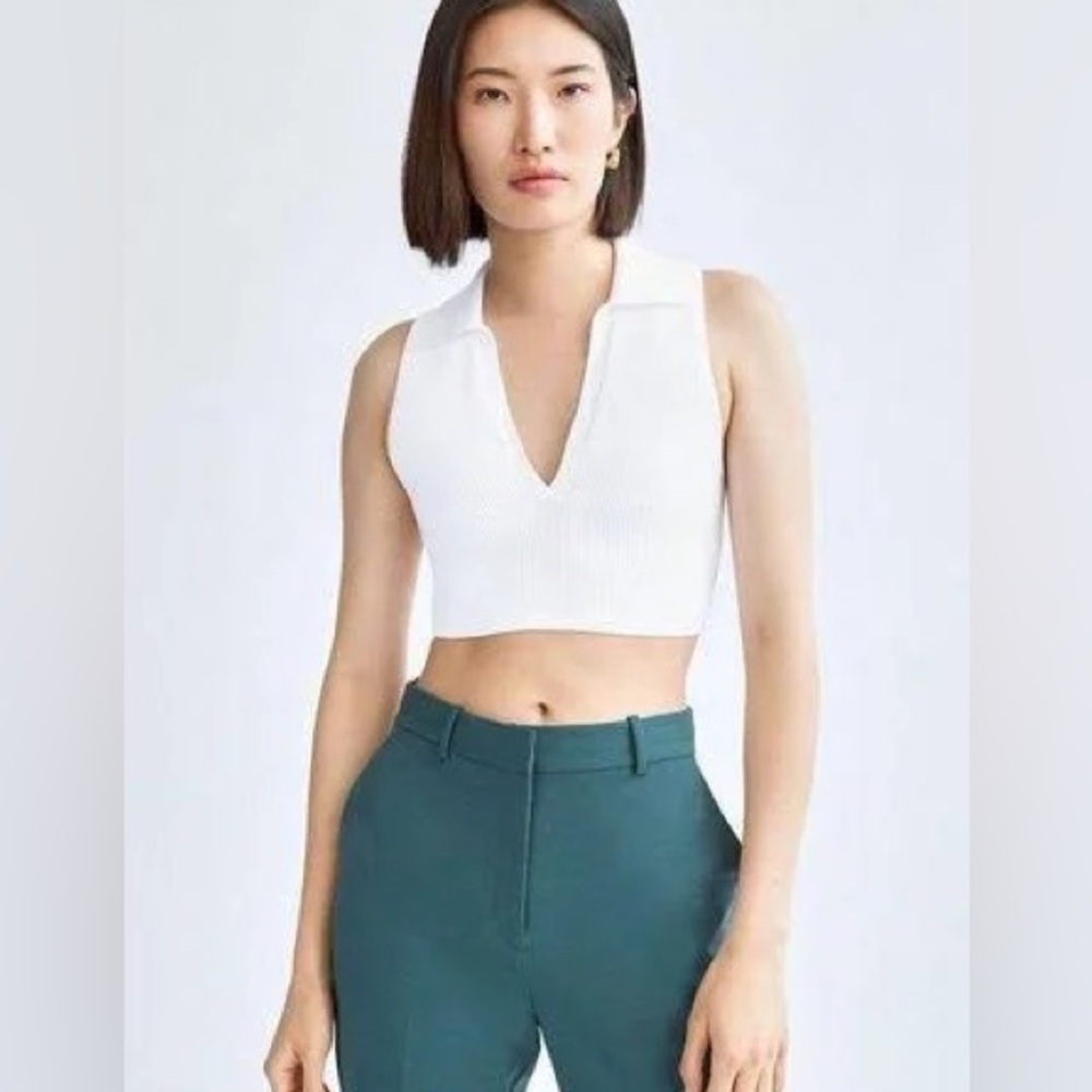 Aritzia Babaton Sculpt Knit Polo tank